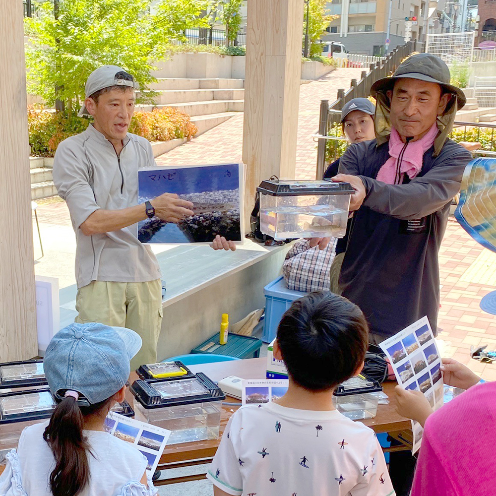 生き物観察