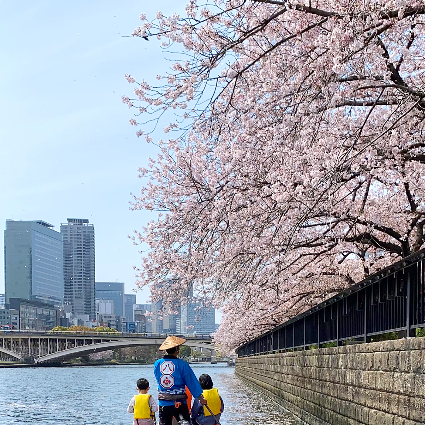 桜の下で水上さんぽ