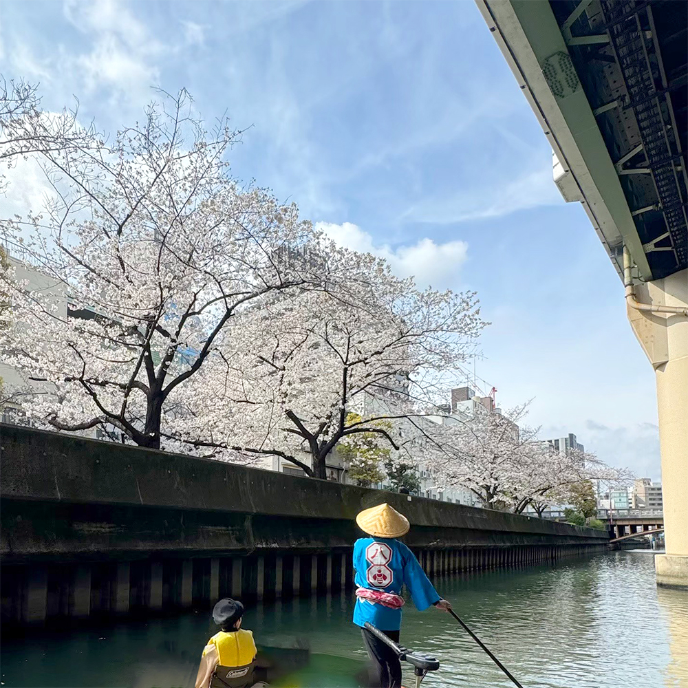 東横堀川でお花見